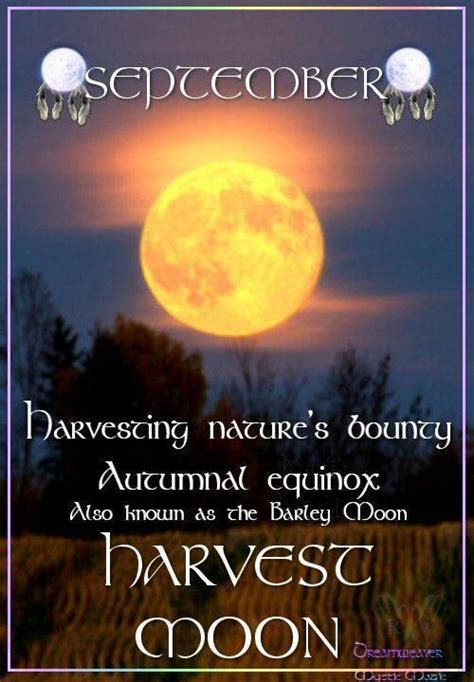 Exploring Harvest Moon Wicca as a Solitary Practitioner
